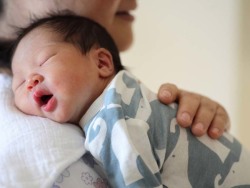 关于拉拉供卵服务微信群